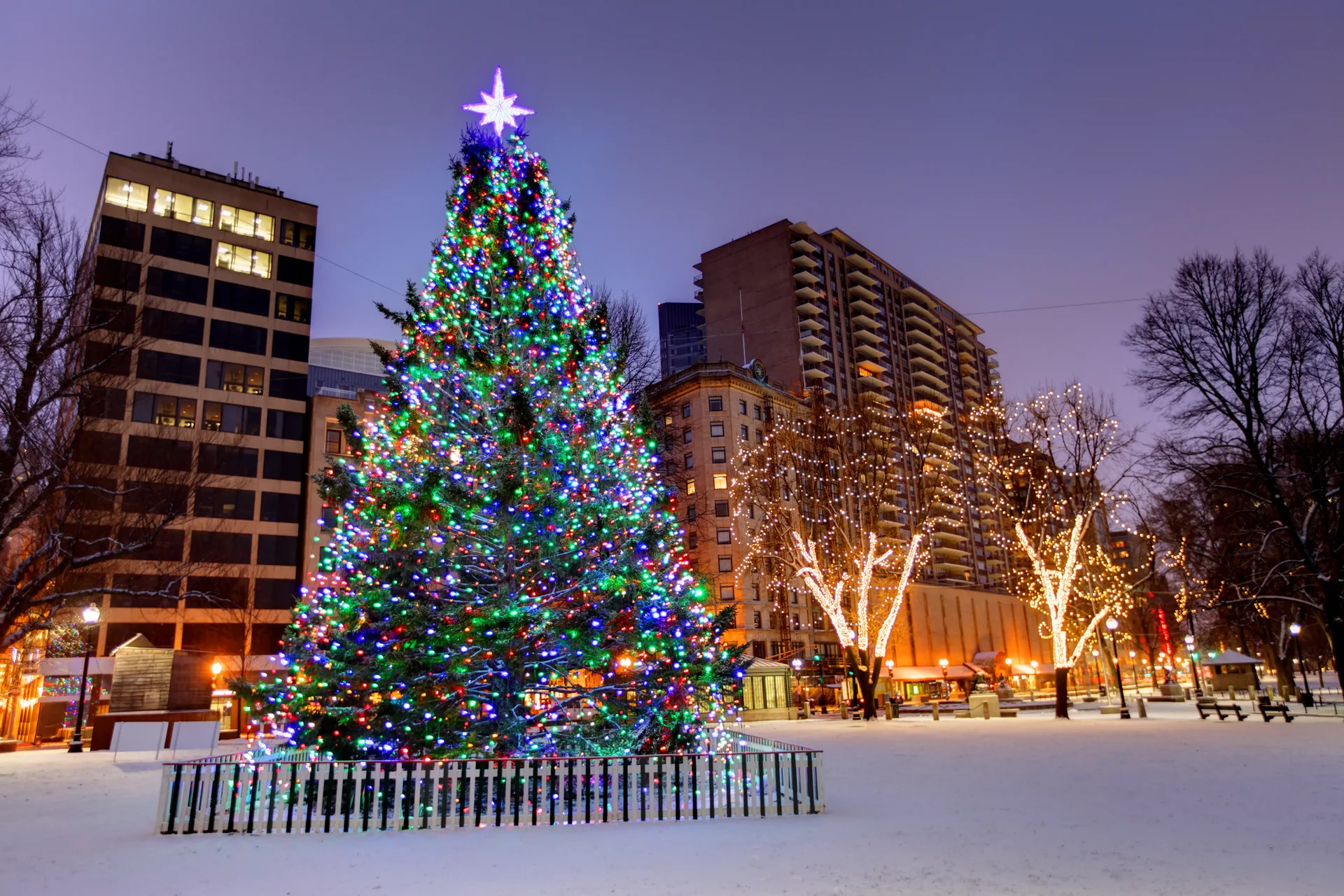 Grande árvore de Natal iluminada com luzes coloridas e uma estrela no topo no Boston Common, em uma área urbana cercada de neve, com prédios ao fundo.
