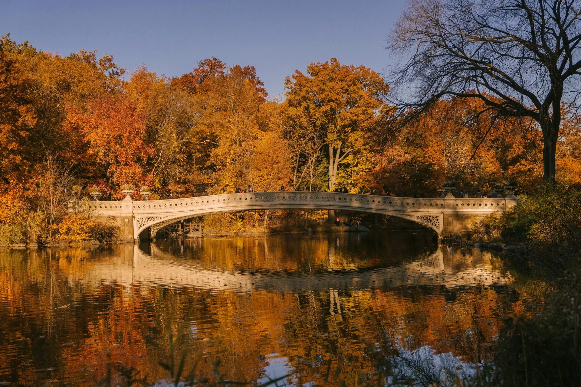 Central Park durante o outono em Nova York.