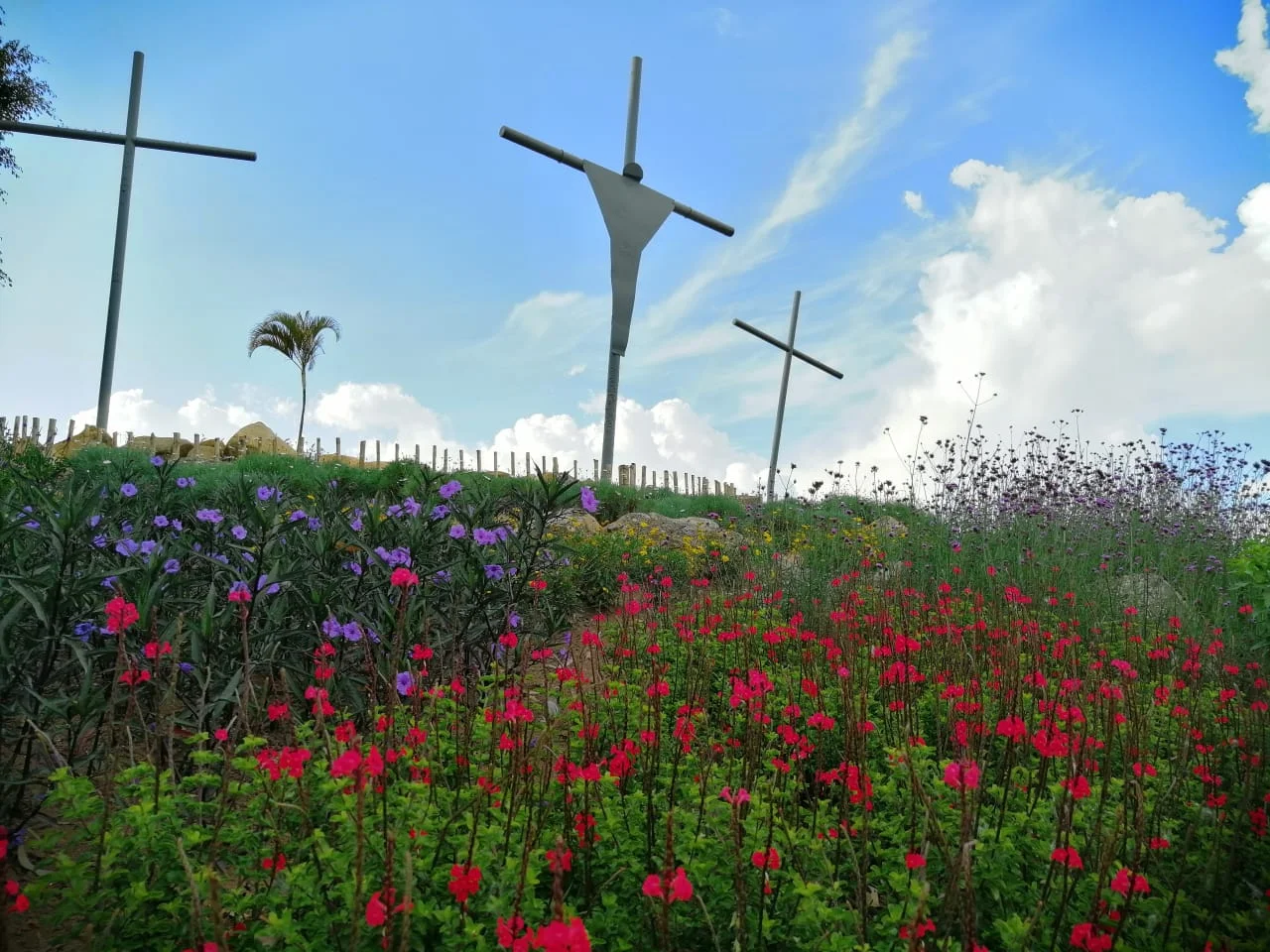 flores vermelhas e roxas na parte inferior e tres cruzes ao fundo, a ventral com a imagem de uma pessoa